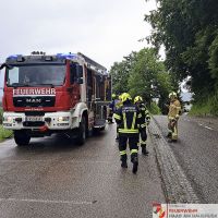 _2026-05-31 Baum über Straße Hohes Kreuz-17-2
